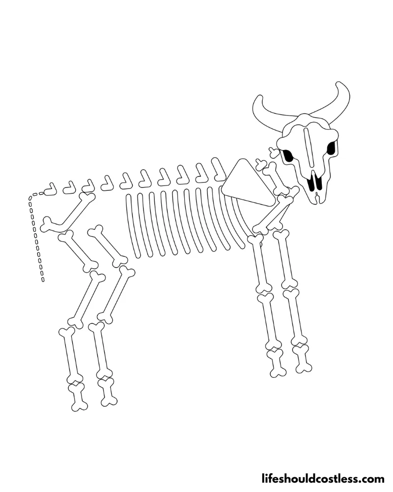 Cow Skeleton To Colour Example
