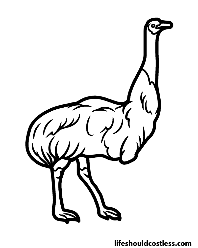 Emu coloring page example