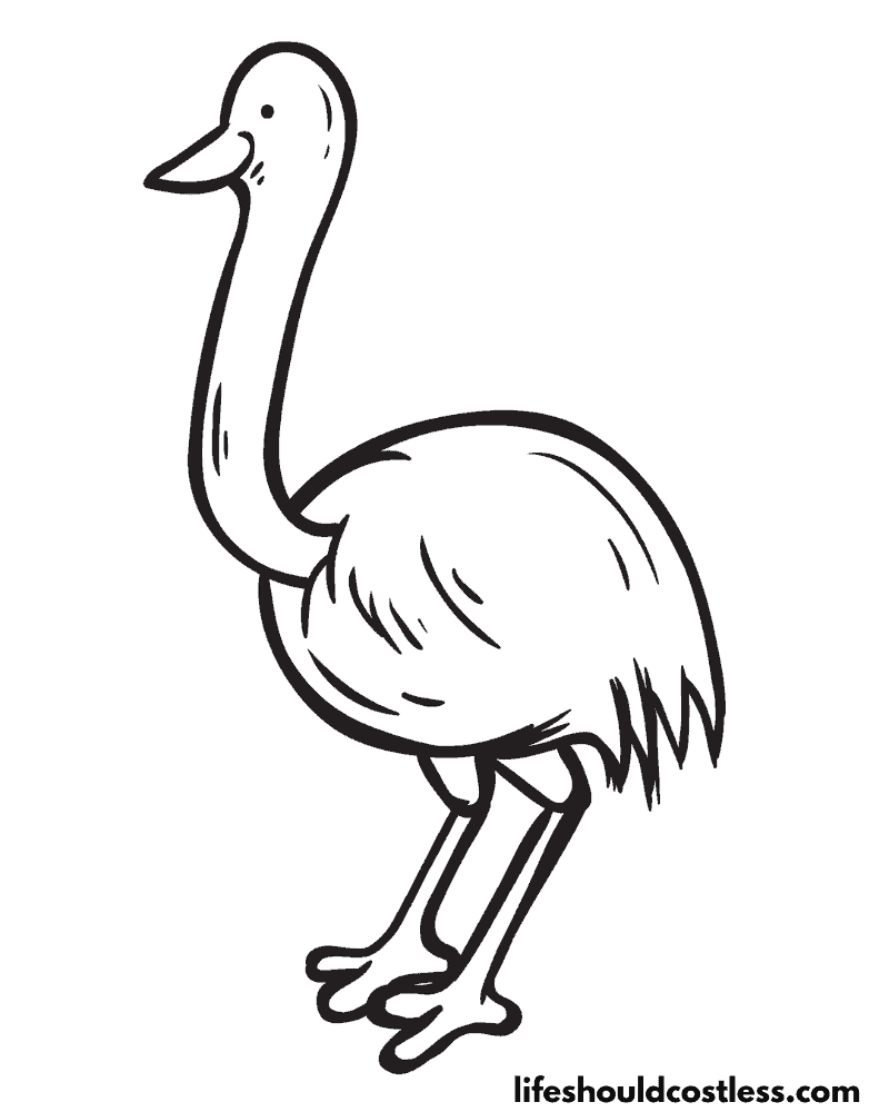 Emu coloring page example