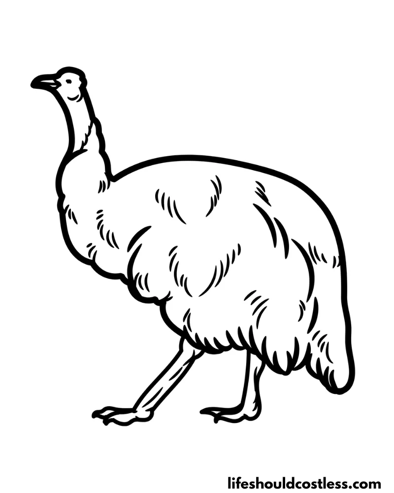 Emu colouring page example