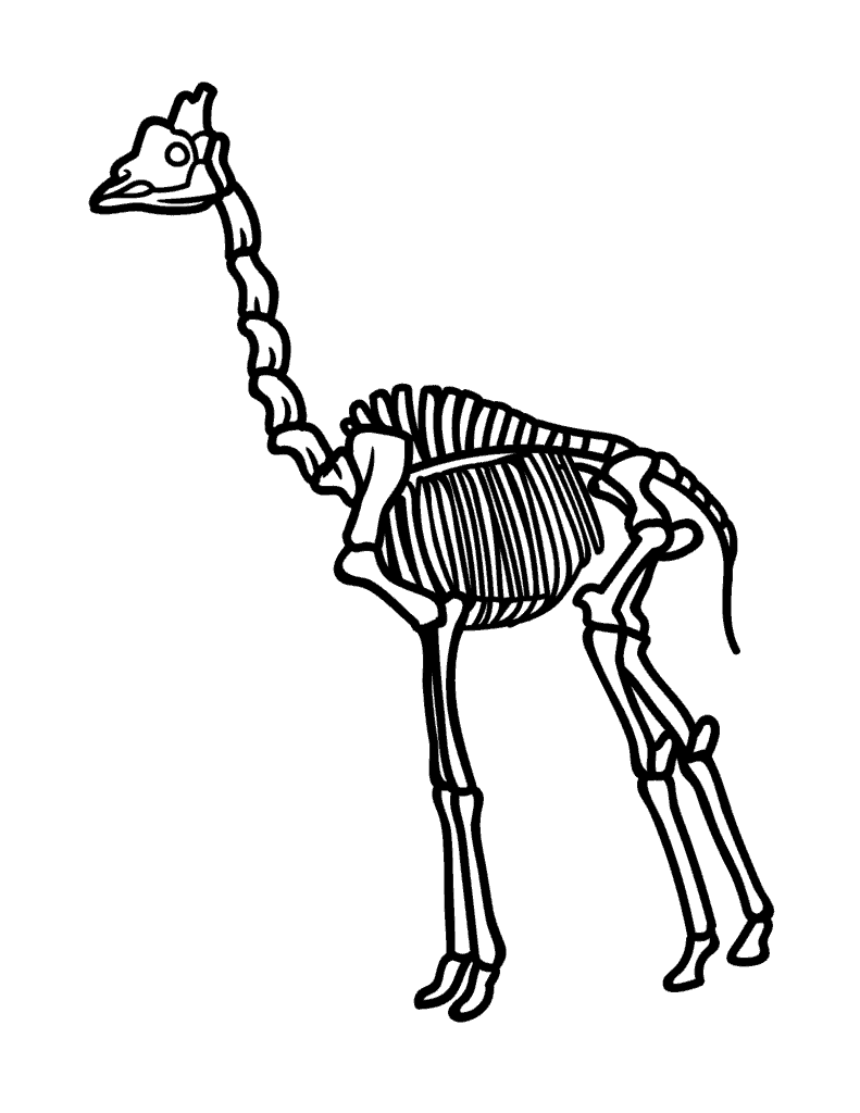 Giraffe Skeleton Colouring Sheet Free Printable PDF Template