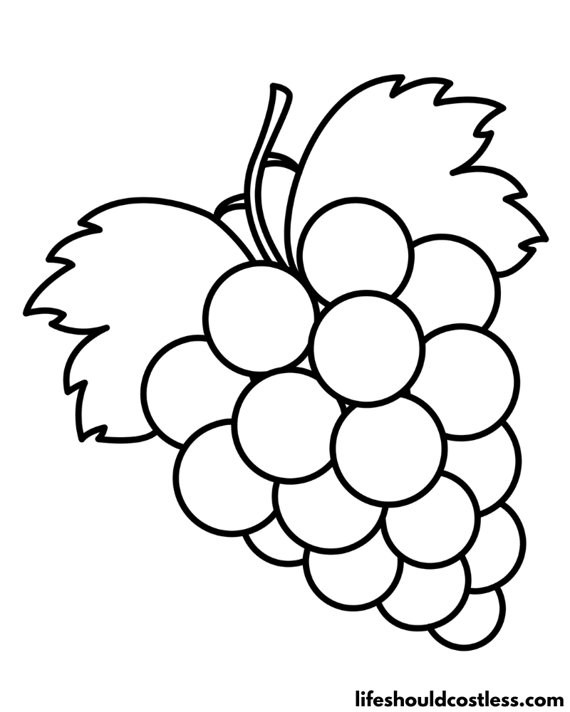 Grape coloring page example