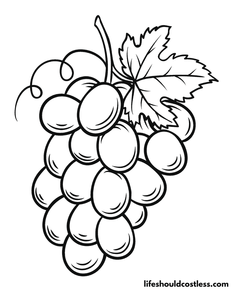Grapes coloring page example