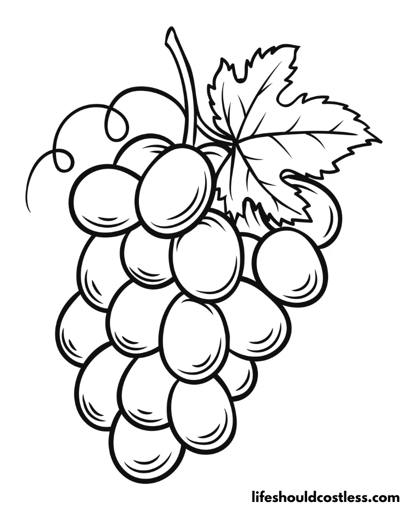 Grape Coloring Pages (free printable PDF templates) - Life Should Cost Less