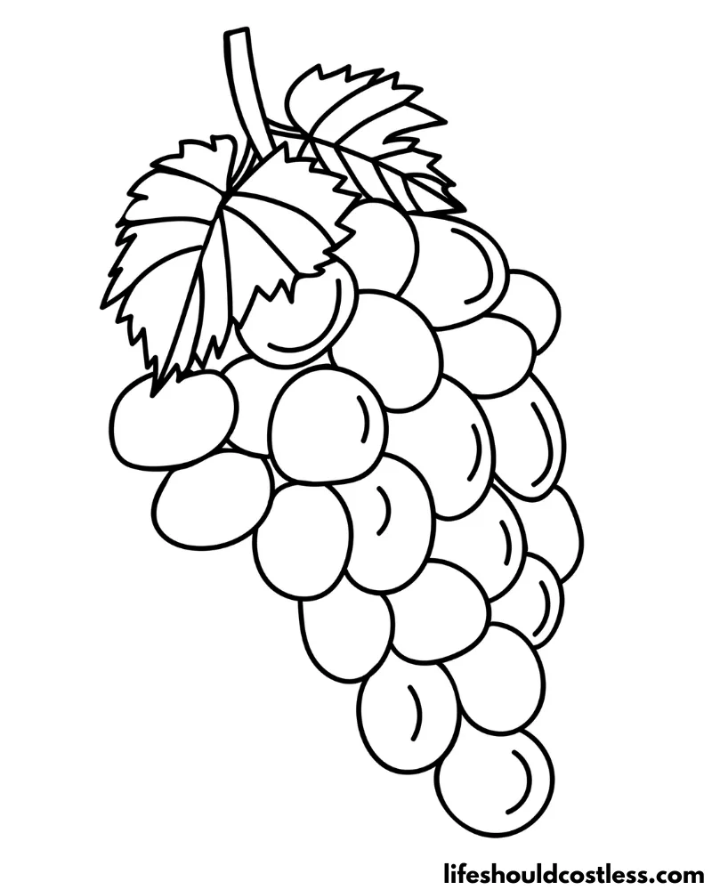 Grapes colouring page example
