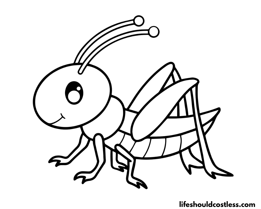 Grasshopper coloring page