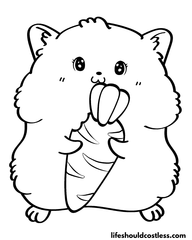 Hamster coloring page example