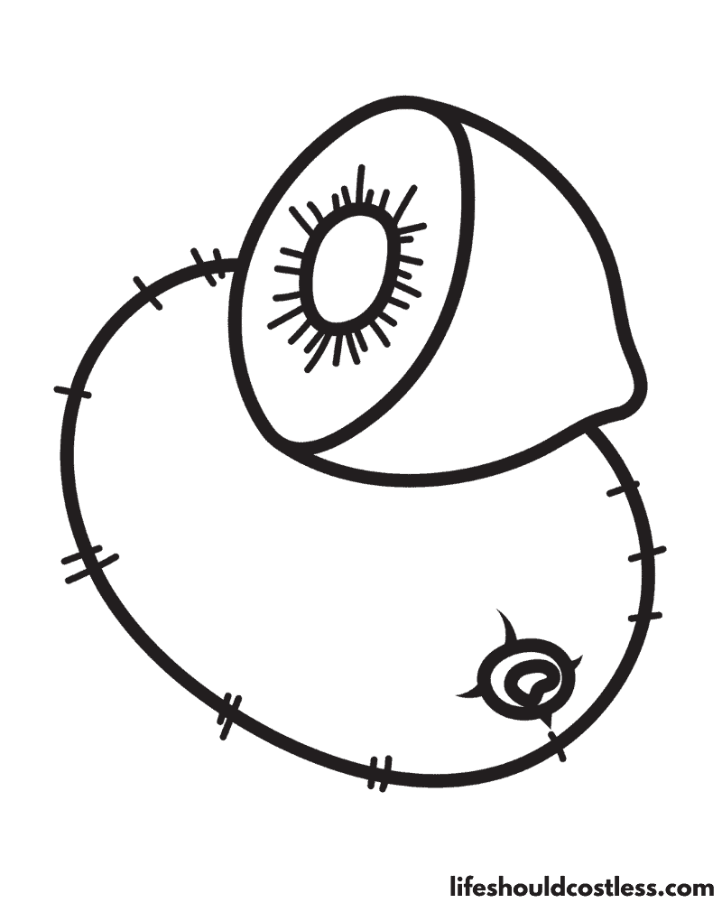 Kiwi coloring page example