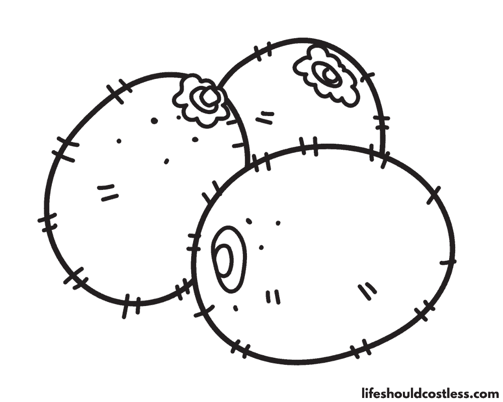 Kiwi coloring pages example