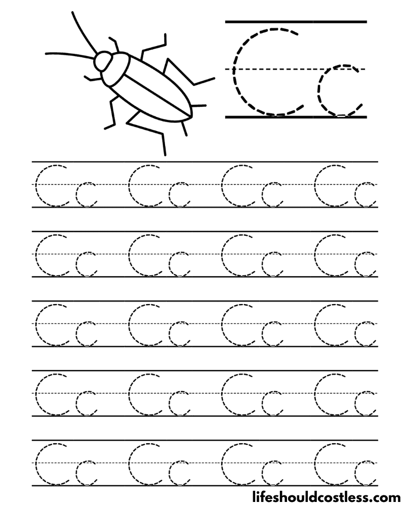 Letter C is for cockroach word page example