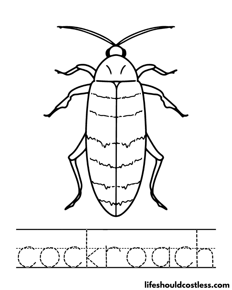 Letter C is for cockroach worksheet example