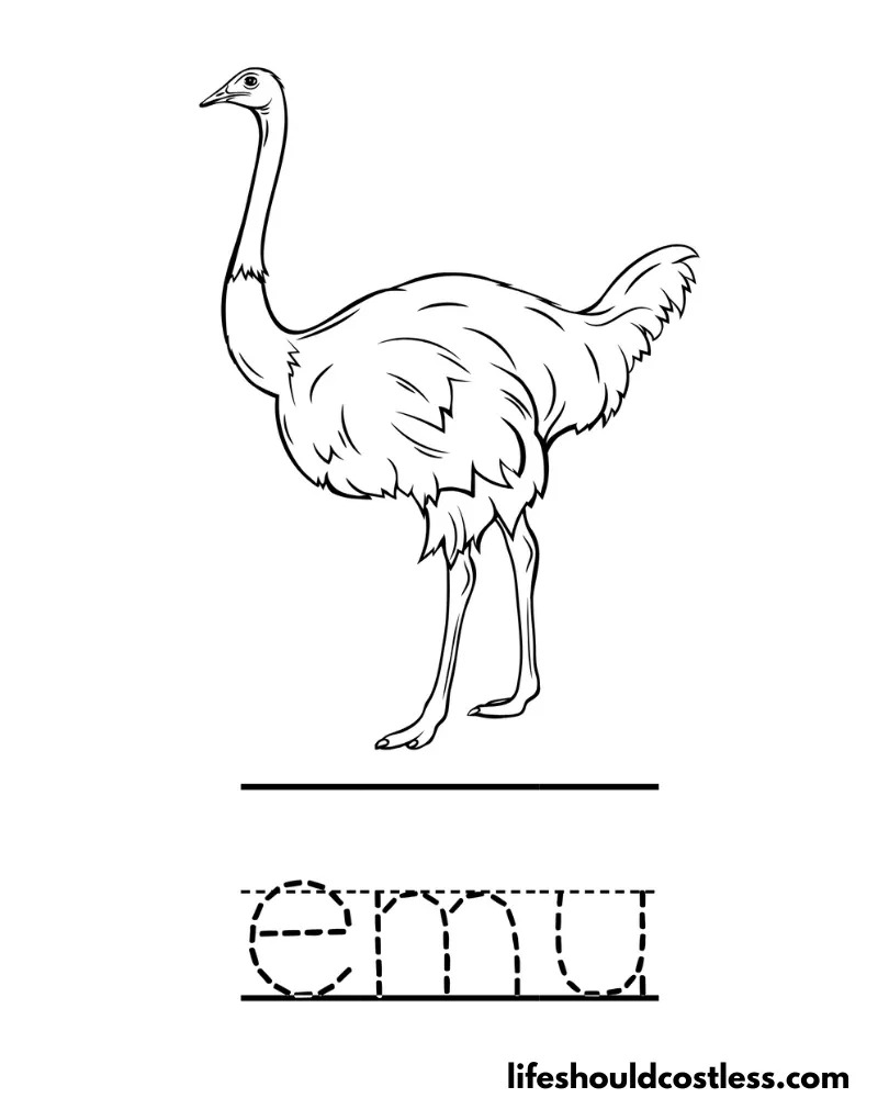 Letter E is for emu worksheet example