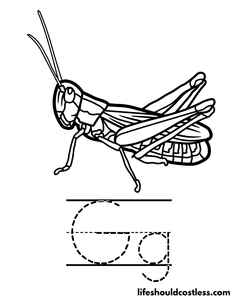 Letter G is for grasshopper coloring page example