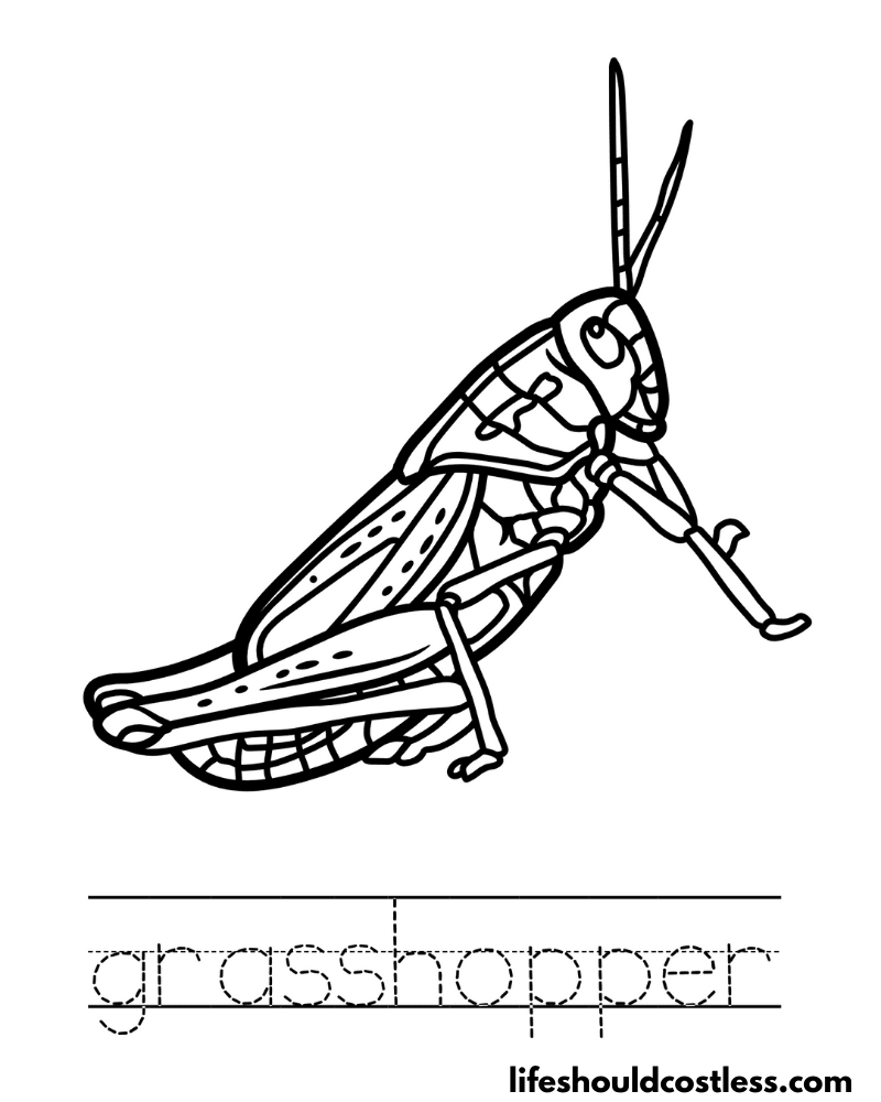 Letter G is for grasshopper worksheet example