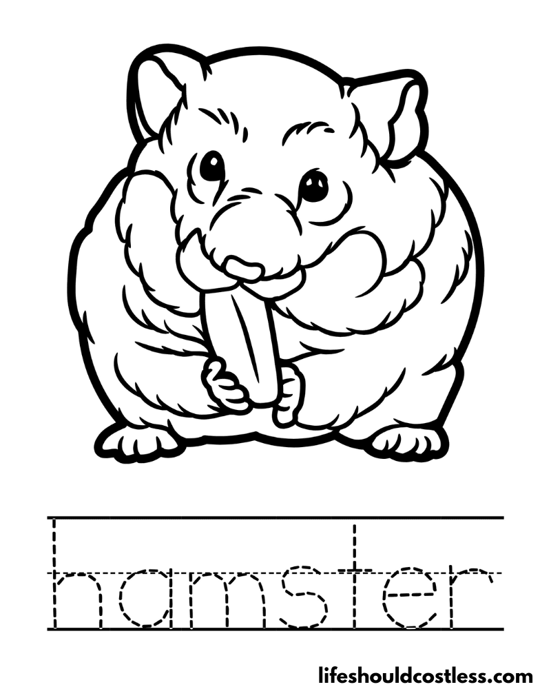 Letter H is for hamster worksheet example