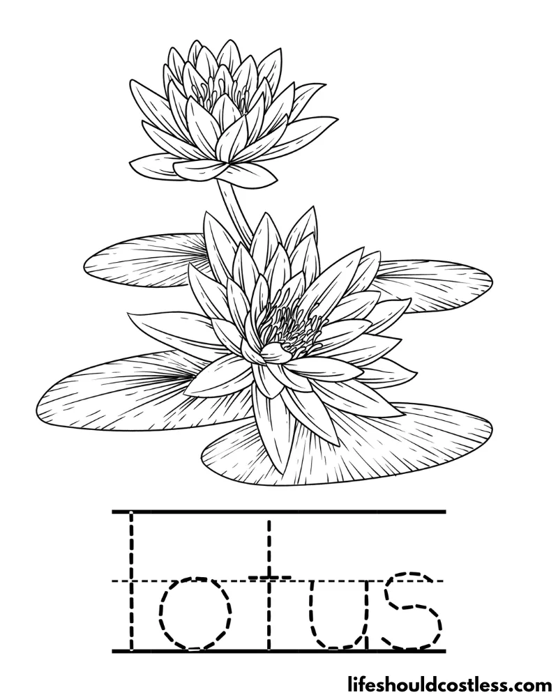 Letter L is for lotus worksheet example