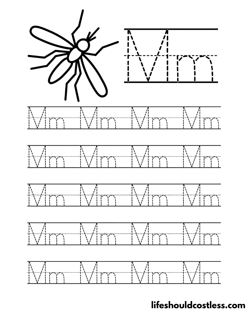 Letter M is for mosquito word page example