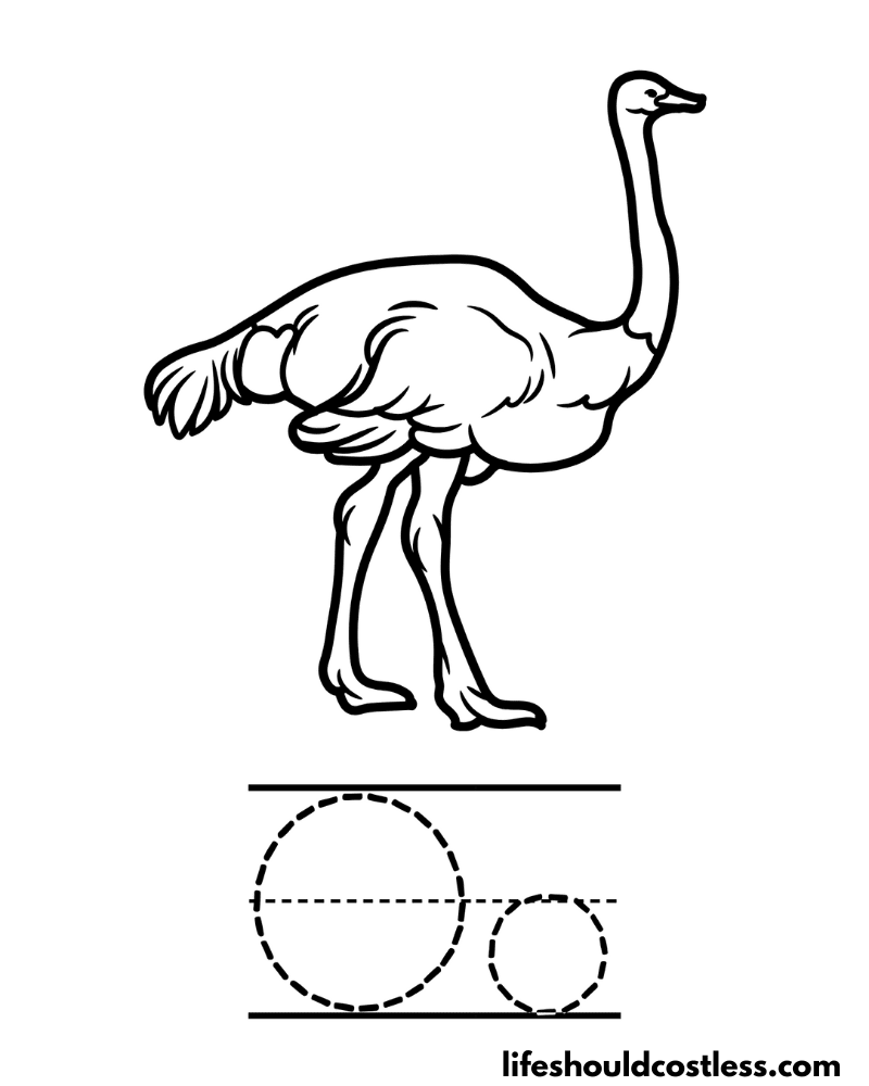 Letter O is for ostrich coloring page example