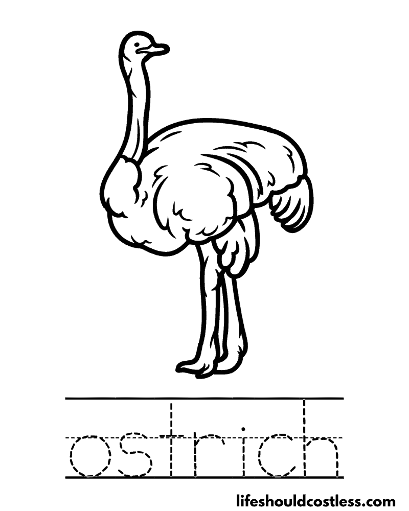 Letter O is for ostrich worksheet example