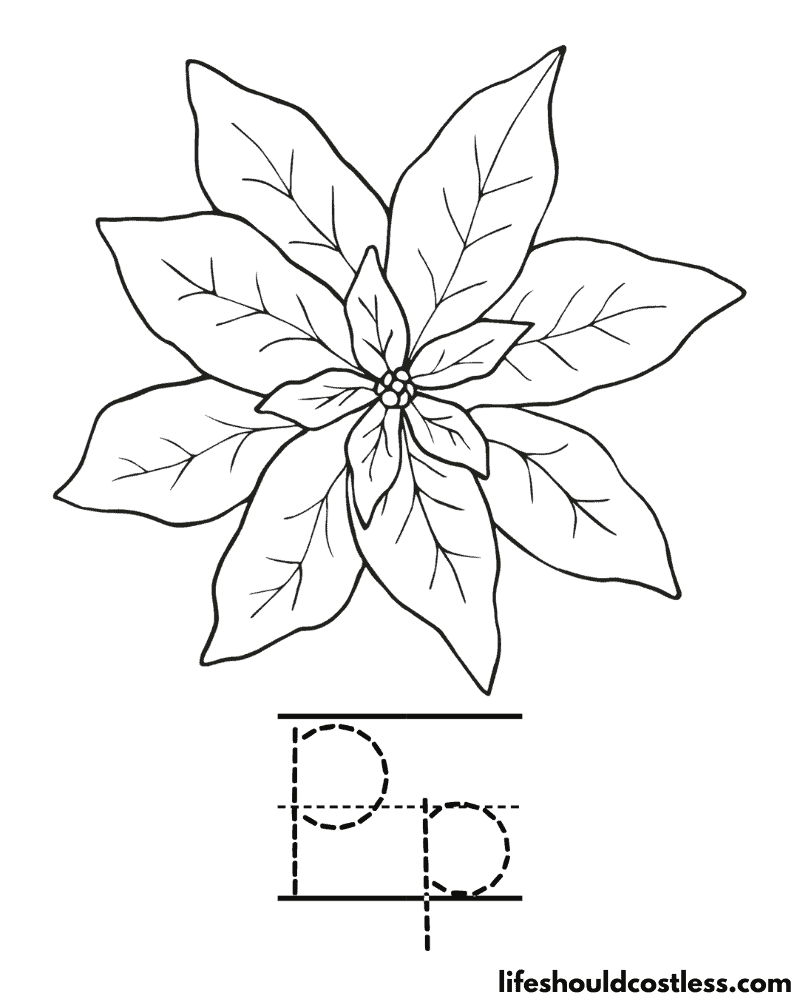 Letter P is for poinsettia coloring page example