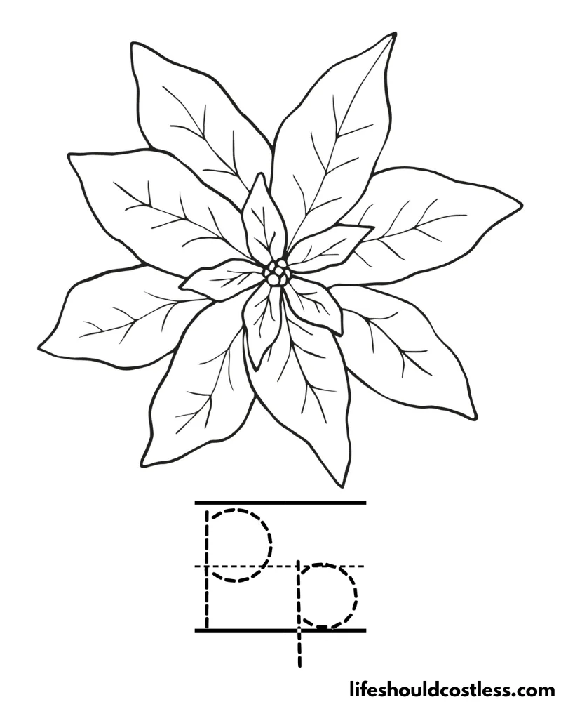 Letter P is for poinsettia coloring page example