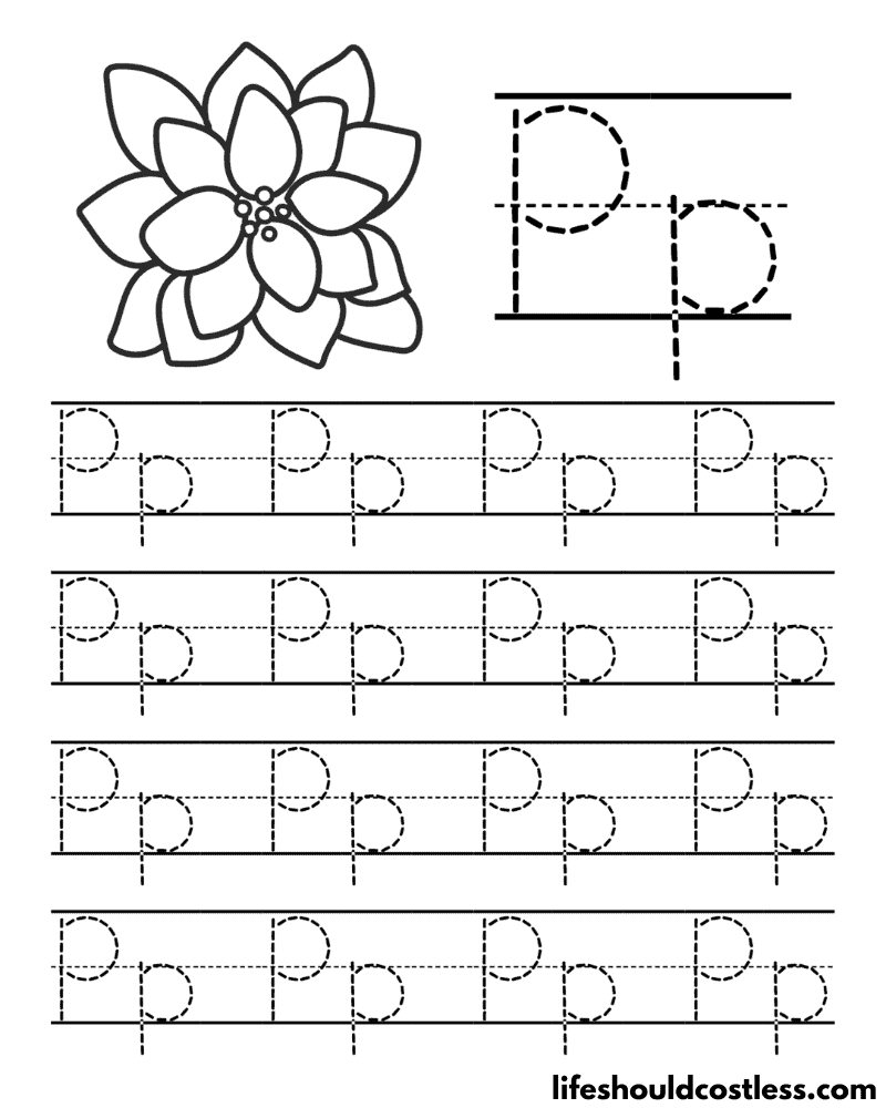 Letter P is for poinsettia word page example
