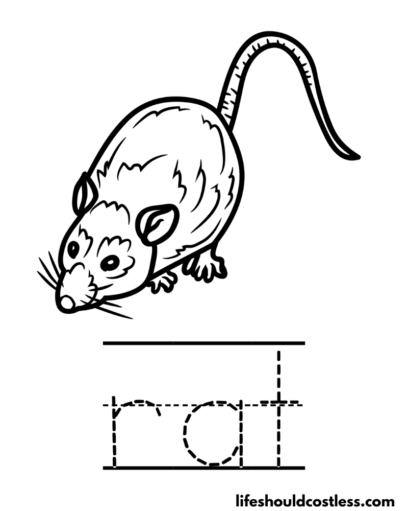 Letter R is for rat worksheet example