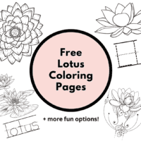 Lotus coloring pages