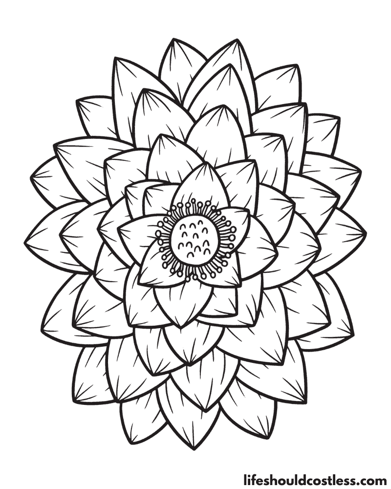 Lotus colouring pages example