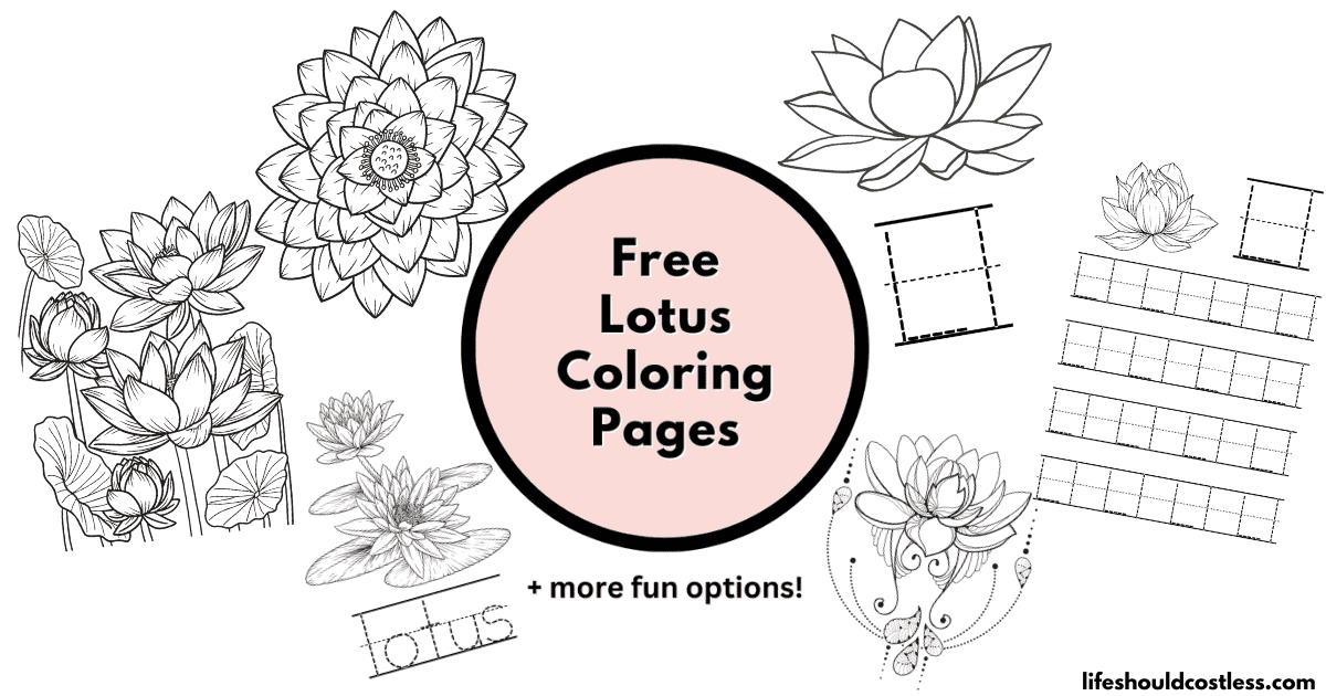 Lotus Coloring Pages (free printable PDF templates) - Life Should Cost Less