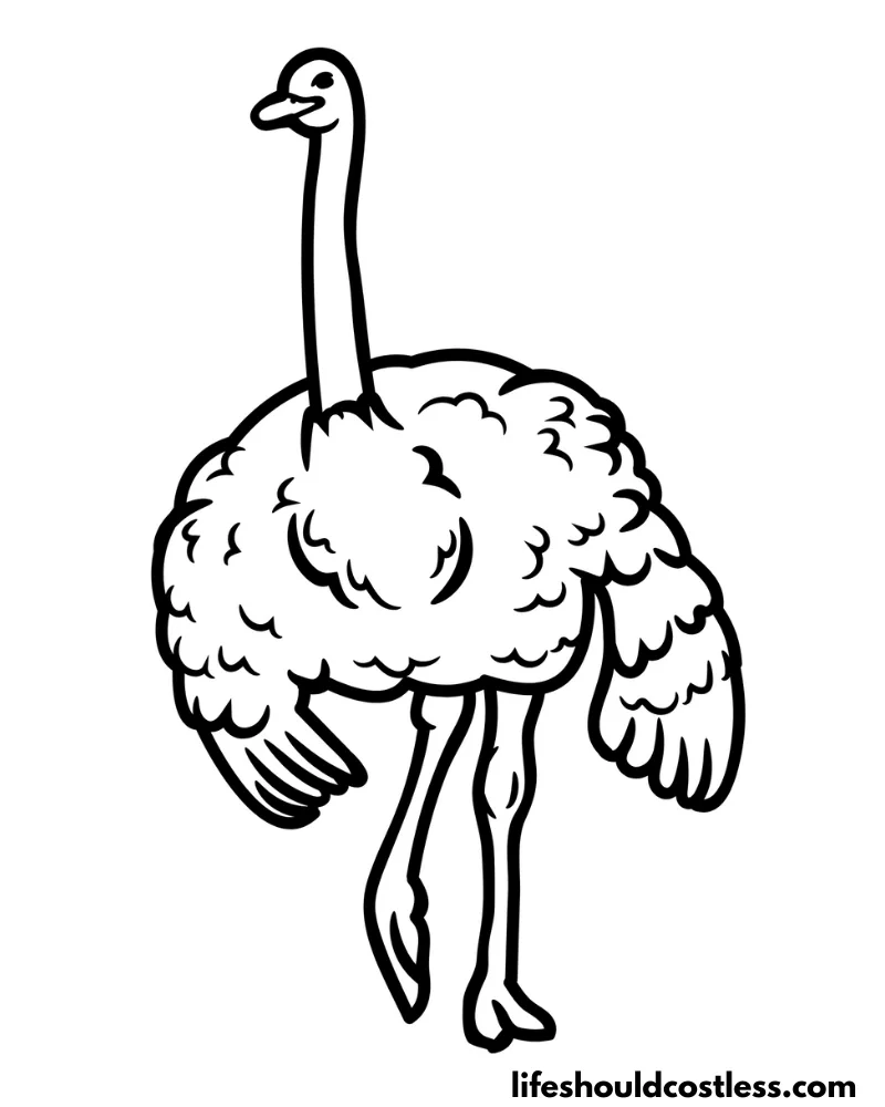 Ostrich coloring page example