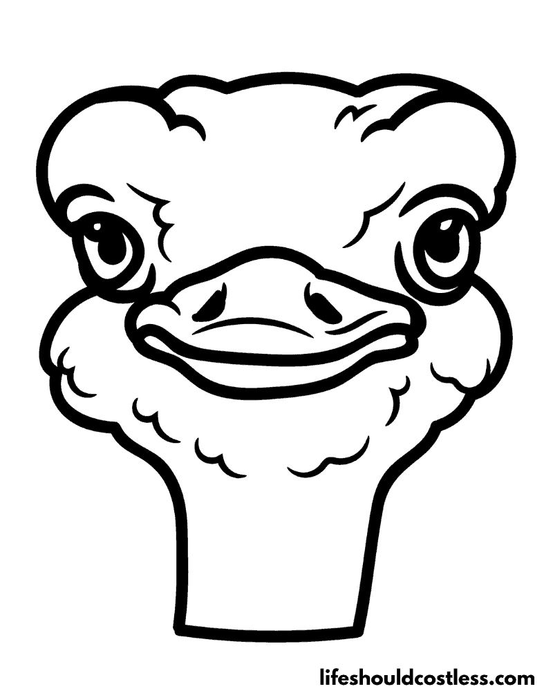 Ostrich coloring sheet