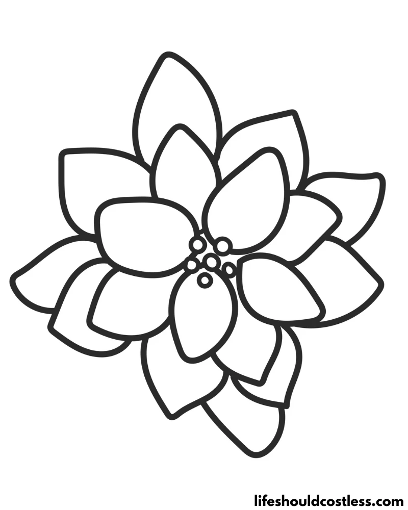 Poinsettia picture to color example