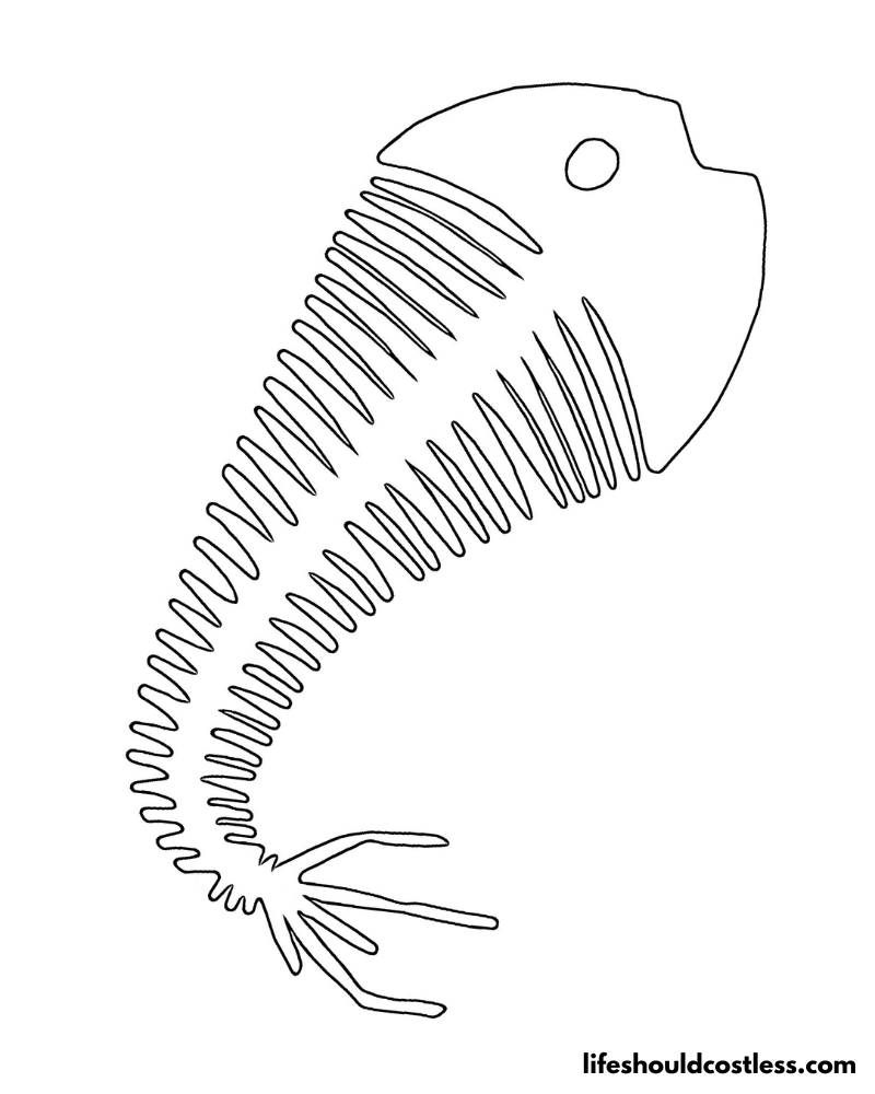 Prehistoric Fish Skeleton To Color Example