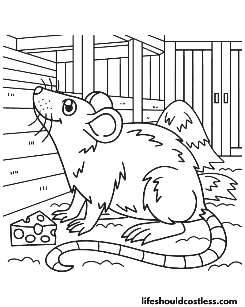 Rat coloring page example