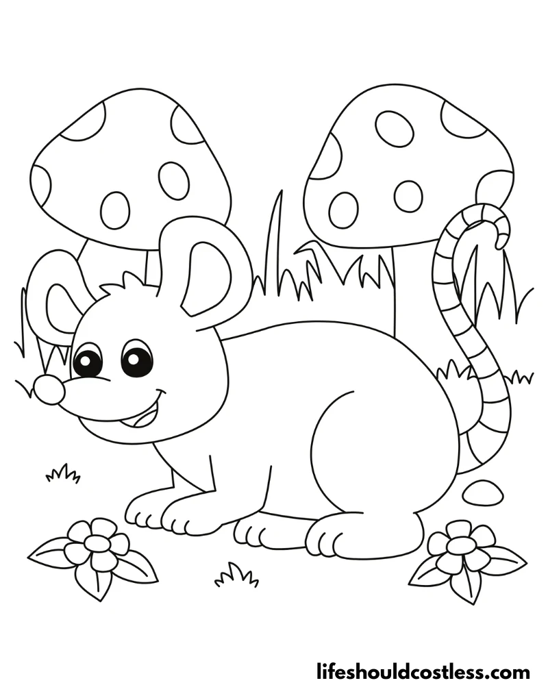 Rat coloring sheets example