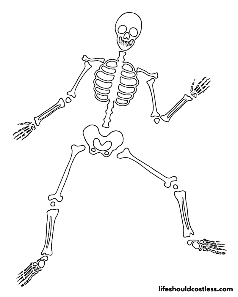 Realisitic Skeleton Colouring Pages Example