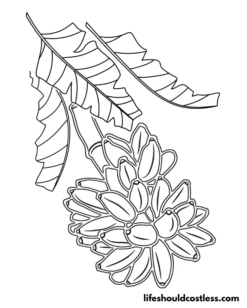 Realistic Coloring Page Of Banana Bunch Example