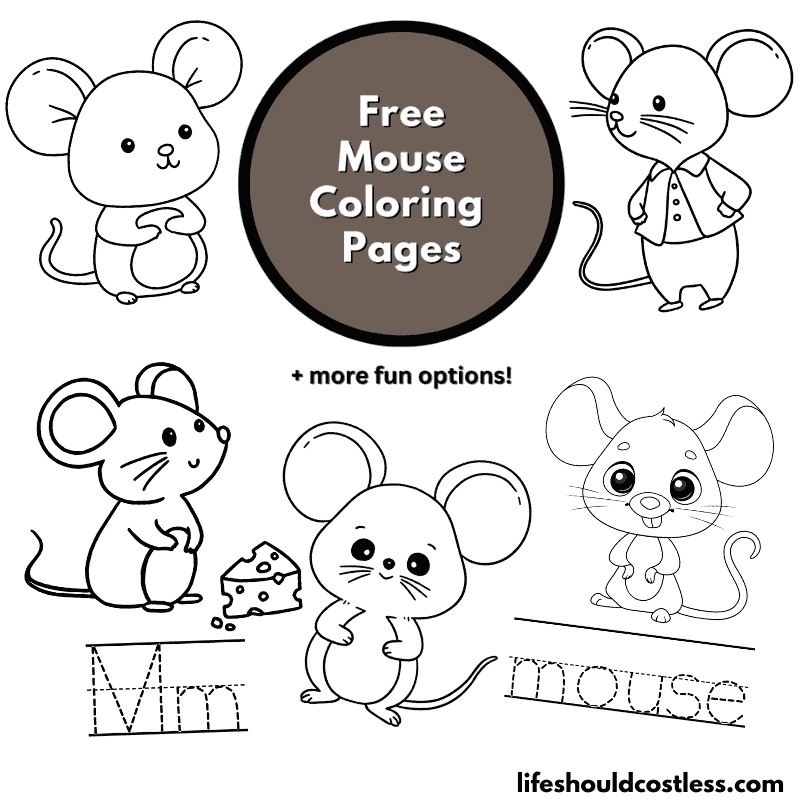 cartoon mouse coloring page