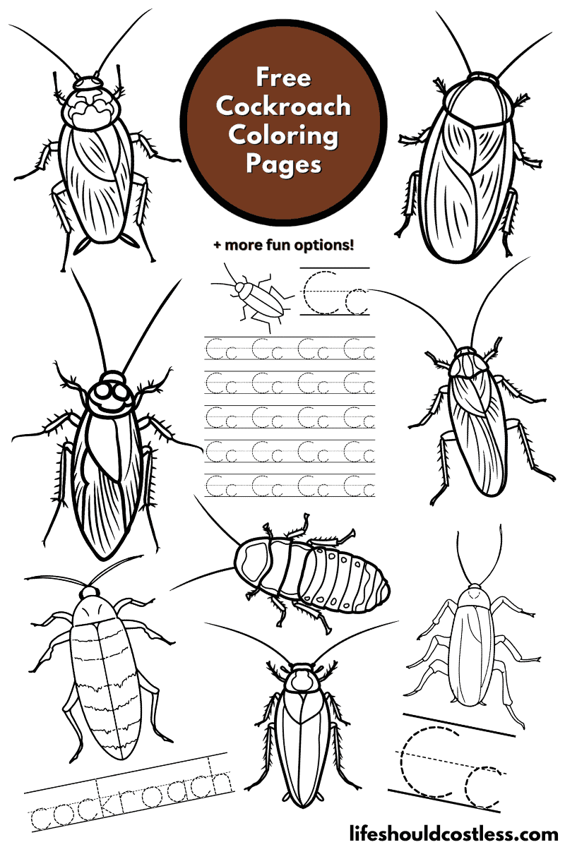 Cockroach Coloring Pages (free printable PDF templates) - Life Should ...