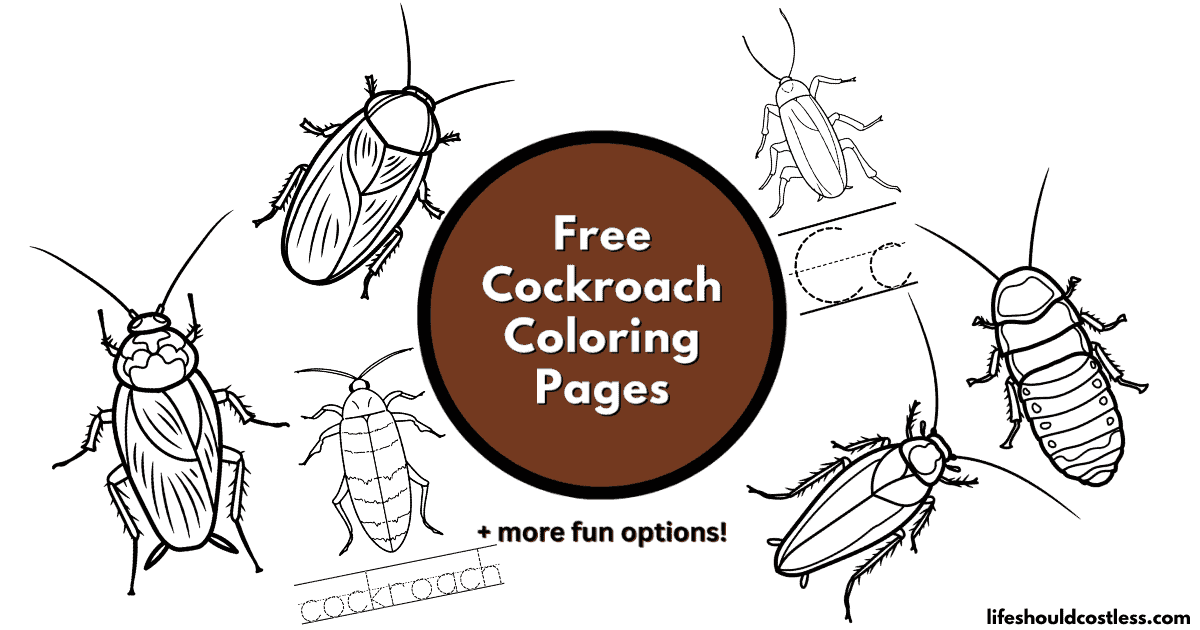 Cockroach Coloring Pages (free printable PDF templates) - Life Should ...