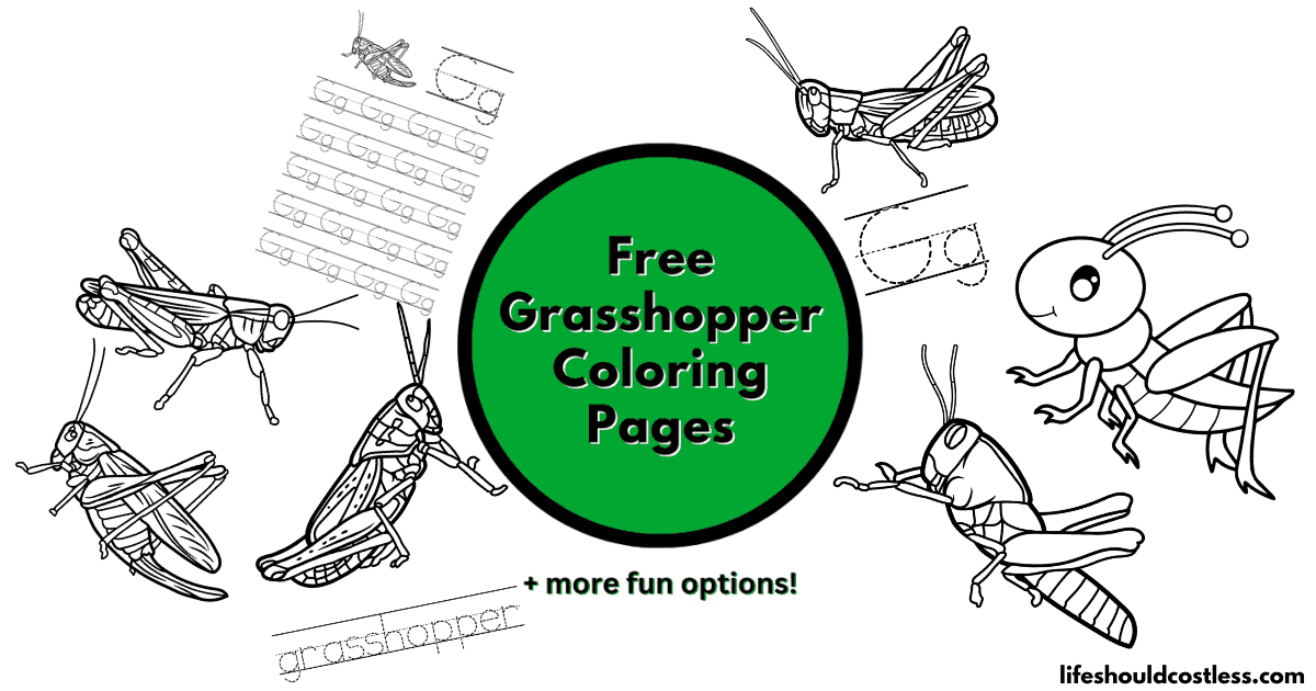 Grasshopper Coloring Pages (free printable PDF templates) - Life Should ...