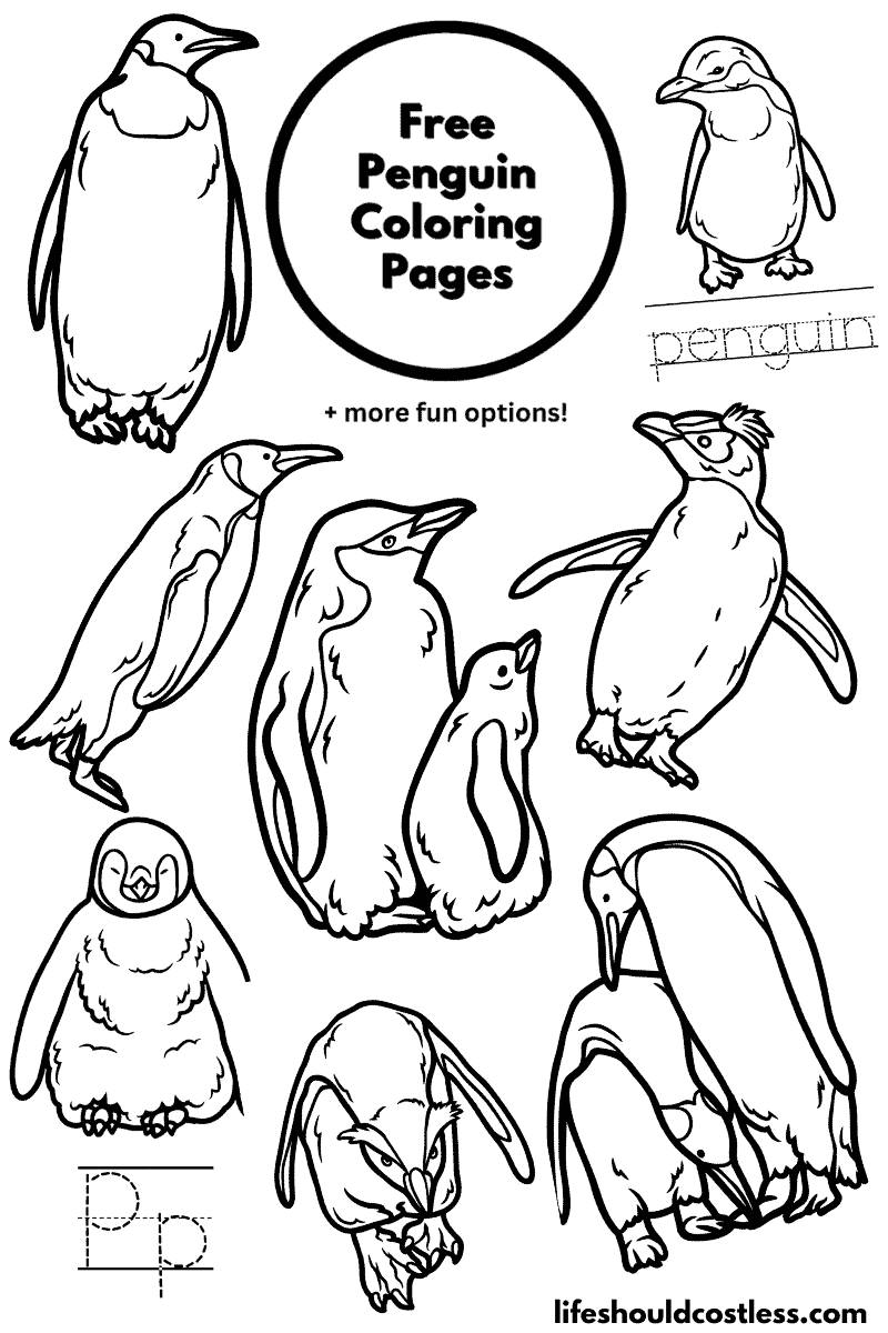 Penguin Coloring Pages (free printable PDF templates) - Life Should Cost Less