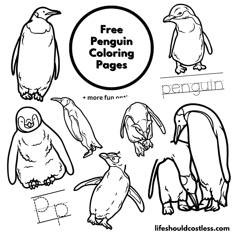 color penguins