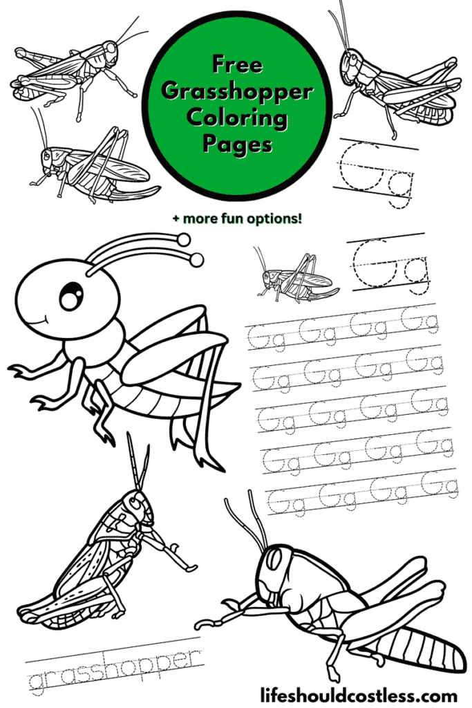 Wolfoo and Friends learn to Stay Healthy Coloring Pages - Free Printable  Coloring Pages