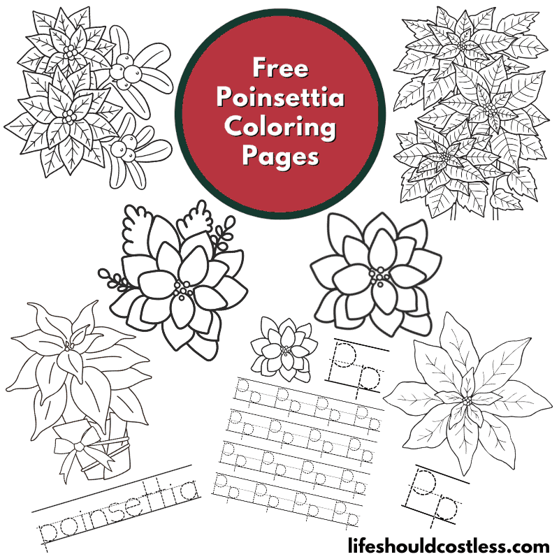 https://lifeshouldcostless.com/wp-content/uploads/2022/10/coloring-page-poinsettia.png.webp