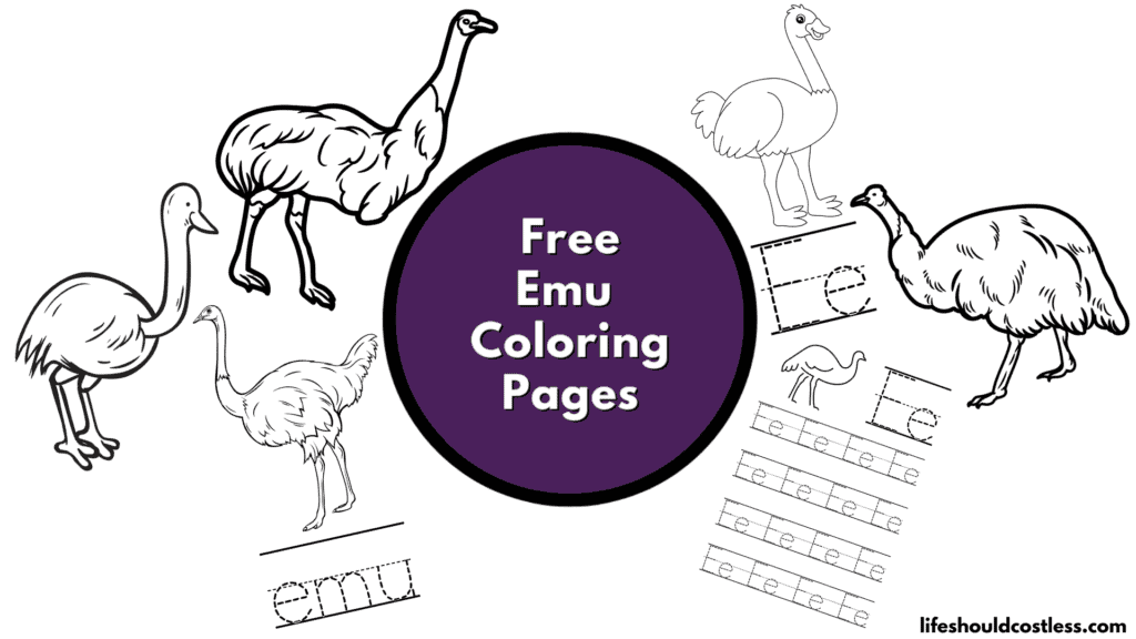 emu coloring pages