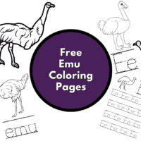 emu coloring pages