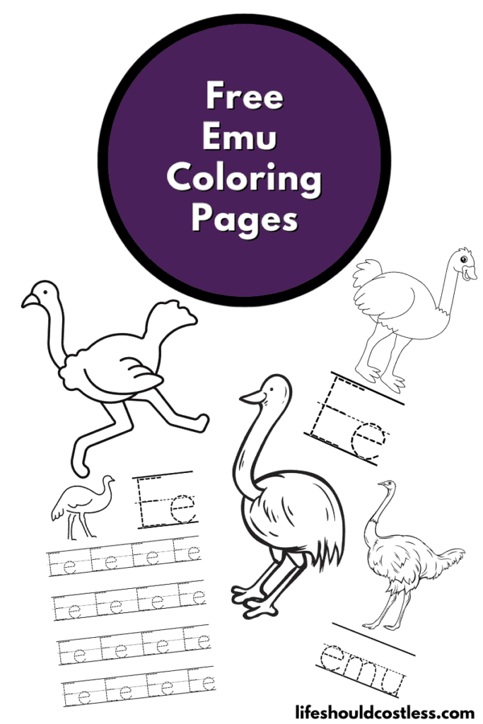emu pictures