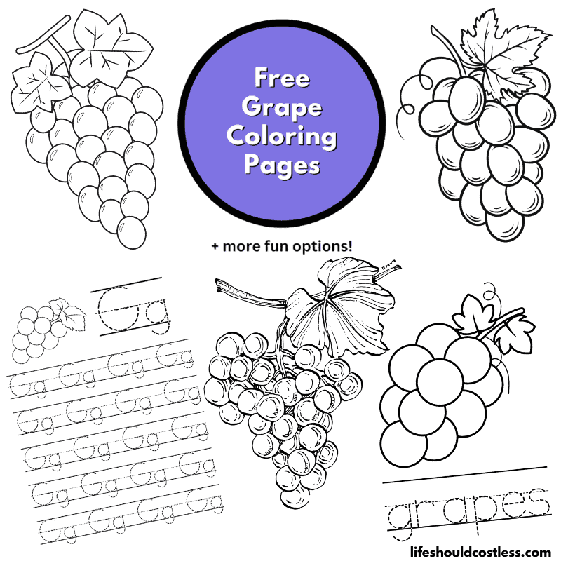 grape color